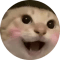 hajimi