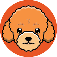 Pudel
