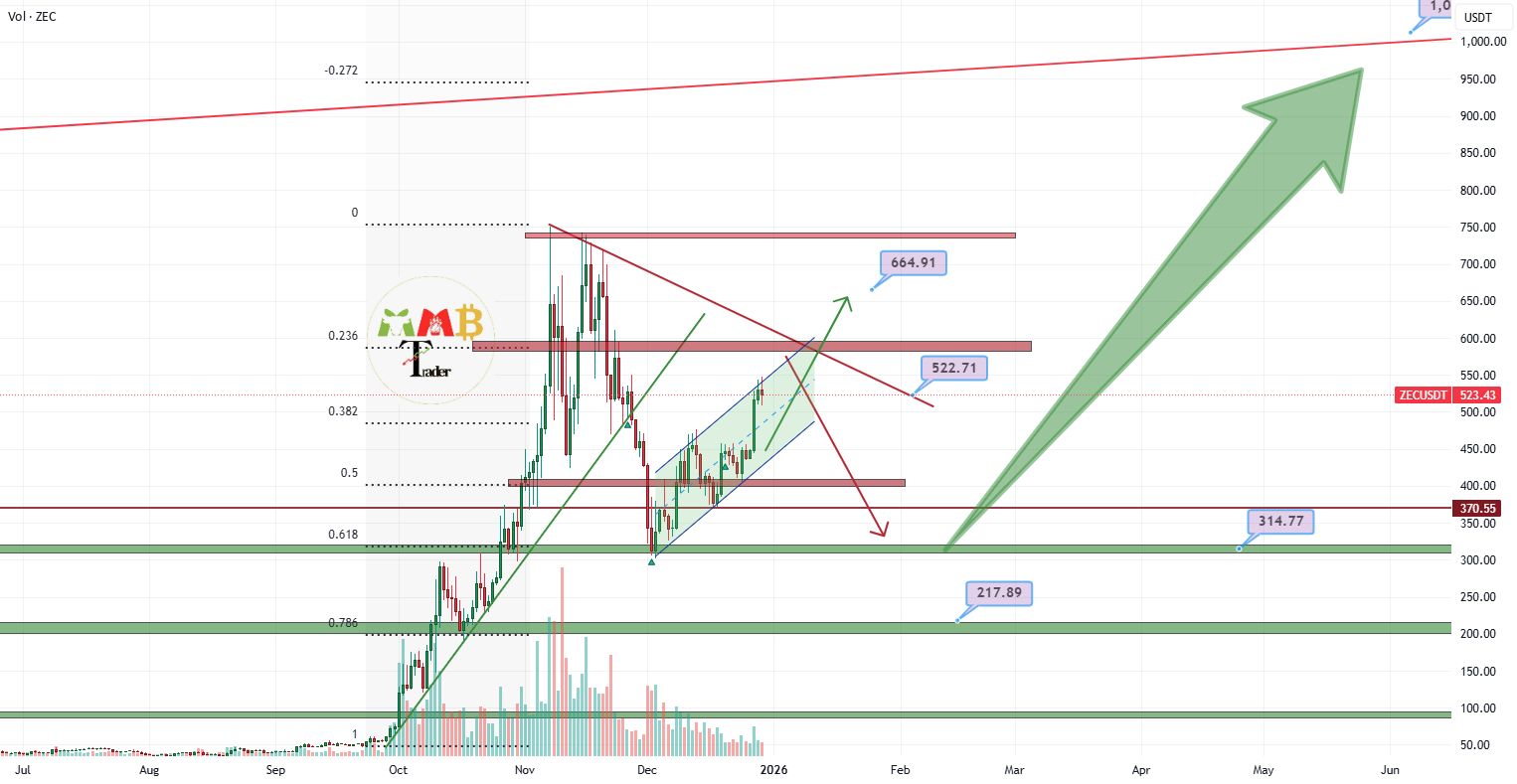 ZECUSDT 现在或休息一段时间后目标为 1000 美元