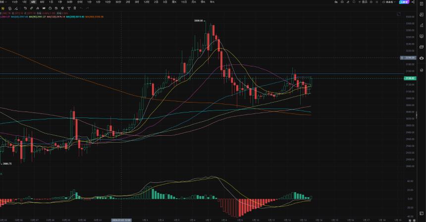 1.13大盘震荡幅度变大，Bitmine追加质押154208枚ETH
