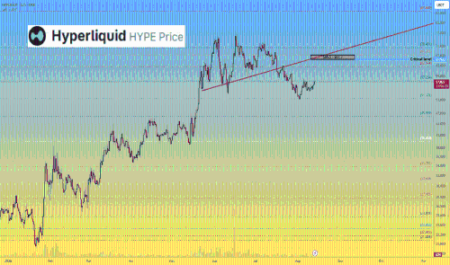 Hyperliquid HYPE 价格分析