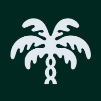 Chainforest