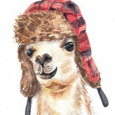 Llama Ventures
