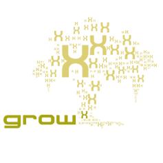 GrowX Ventures