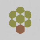 Olive Tree Capital