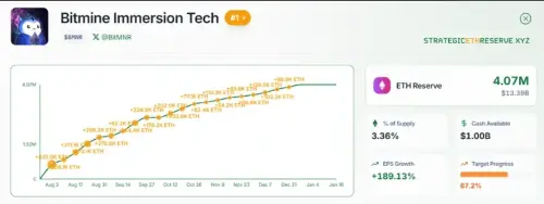 BitMine 领导层在有争议的年会后回应股东强烈反对 
