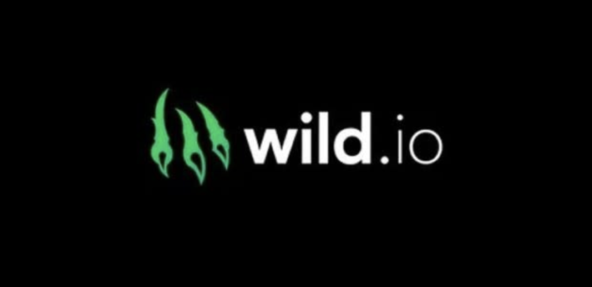 Wild.io Casino Interface