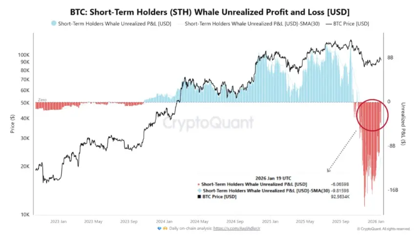 Cryptocurrencies, Bitcoin Price, Bitcoin Analysis, Markets, Cryptocurrency Exchange, Bitcoin Futures, Price Analysis, Market Analysis, Whale