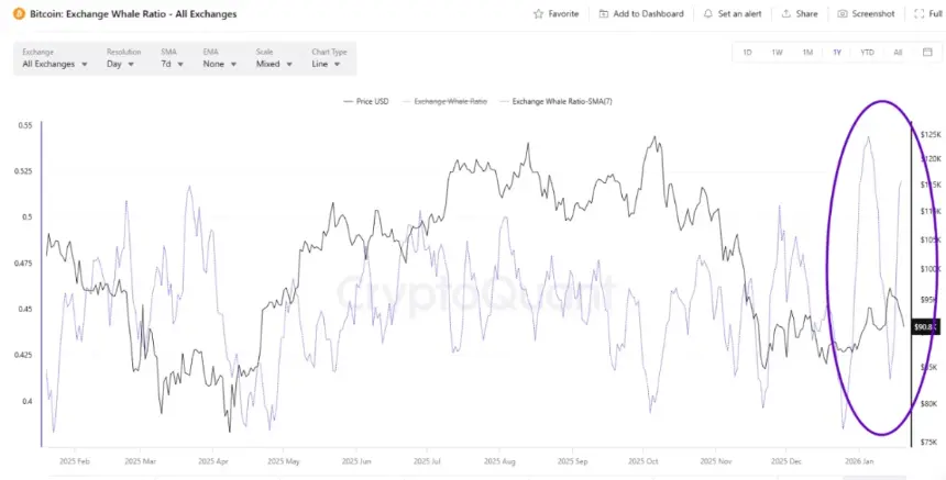 Cryptocurrencies, Bitcoin Price, Bitcoin Analysis, Markets, Cryptocurrency Exchange, Bitcoin Futures, Price Analysis, Market Analysis, Whale