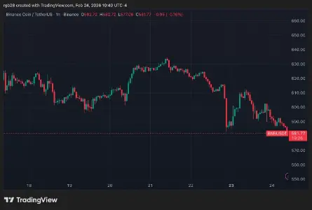 BNB Chain公布2026年路线图：破纪录之年旨在打造“下一代交易链” 