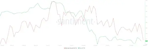 이더리움 보유자 유지율 회복, 네트워크 성장 둔화 속에서