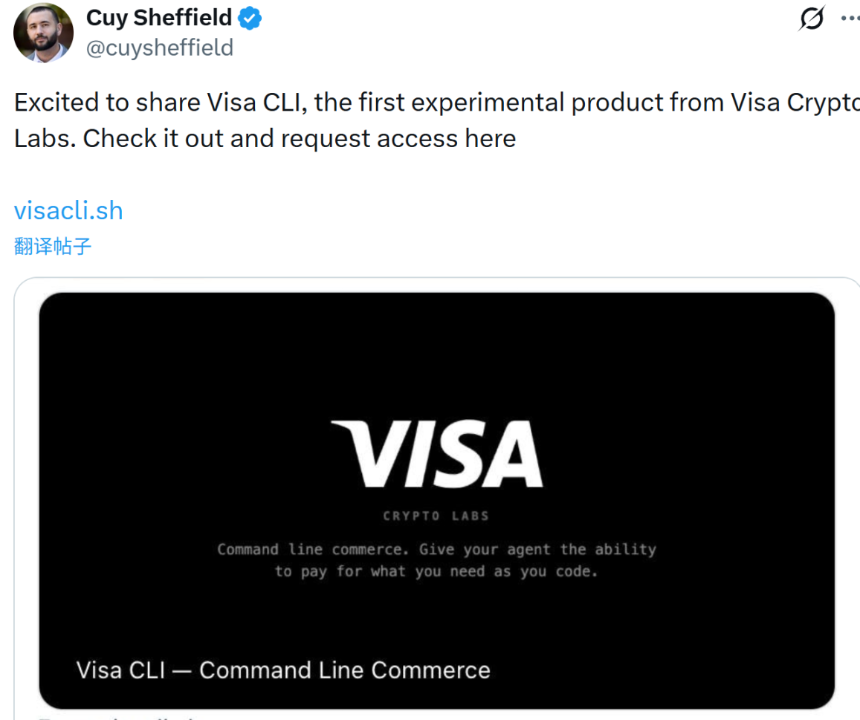 Visa CLI产品介绍