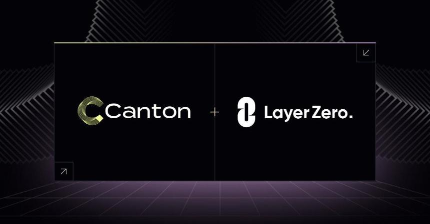 Canton Network 金融机构网络