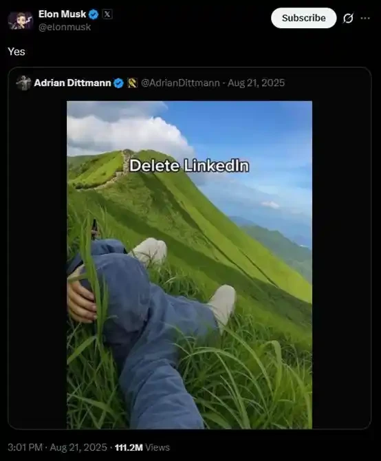 工作将死，NEET新生：一枚meme币的文化起义