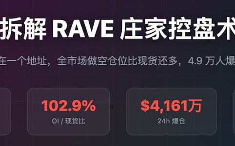 拆解RAVE庄家控盘术：筹码高度集中下的逼空游戏与风险分布