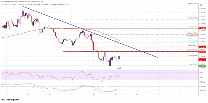 DOGE/USD Hourly Chart