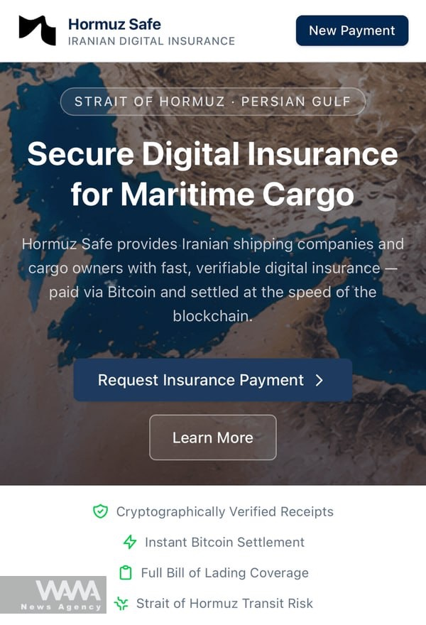 Hormuz Safe平台官方页面示意图