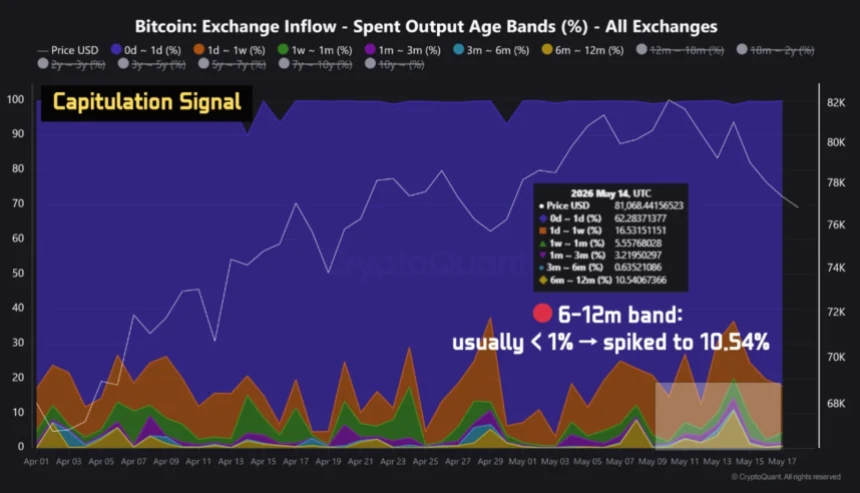 bitcoin on-chain data chart showing SOAB ratio and holder behavior