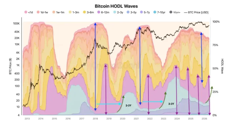 Bitcoin HODL wave indicator chart from CryptoQuant