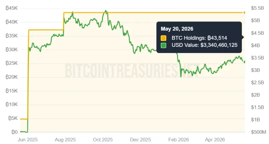 Bitcoin Treasury Visualization