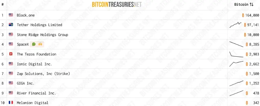 A screenshot from BitcoinTreasuries.NET showing an older estimate of SpaceX's Bitcoin holdings.