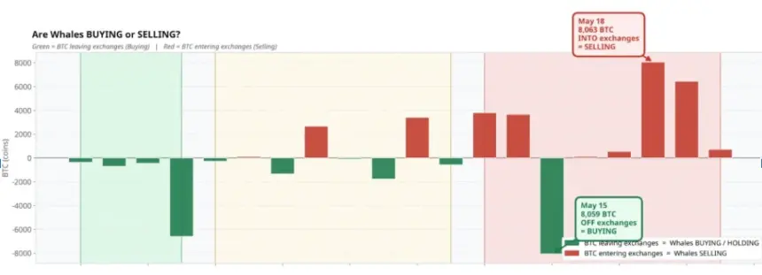 Bitcoin whale activity chart
