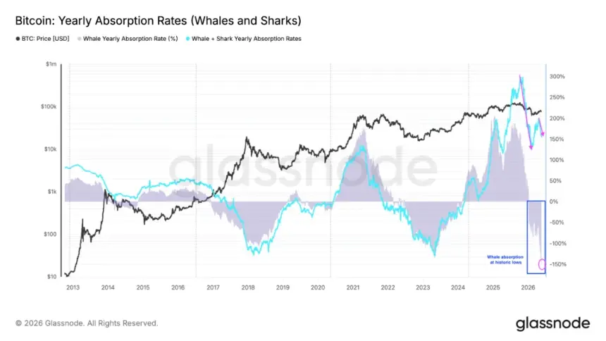 Bitcoin yearly absorption rates by whales and sharks chart