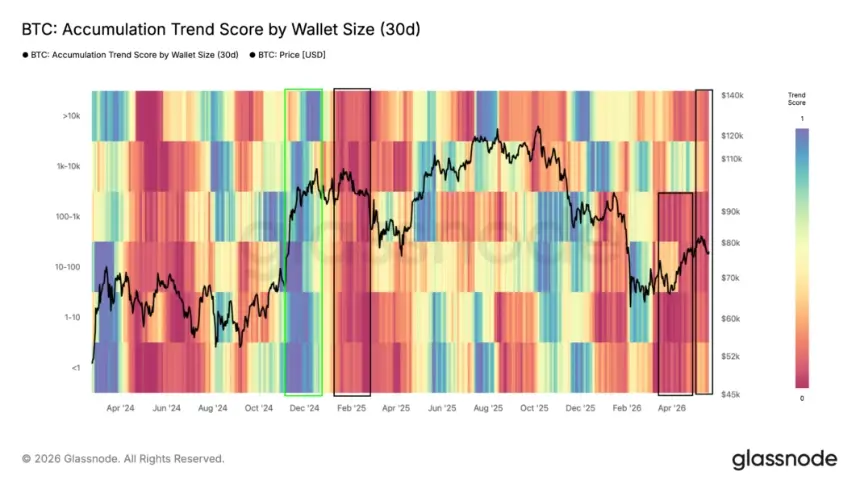 Bitcoin accumulation trend score by cohort chart