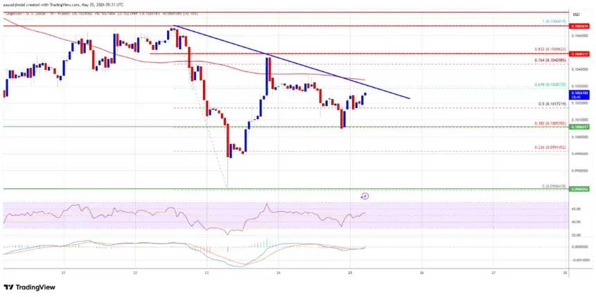DOGE/USD Hourly Price Chart showing resistance and trend line