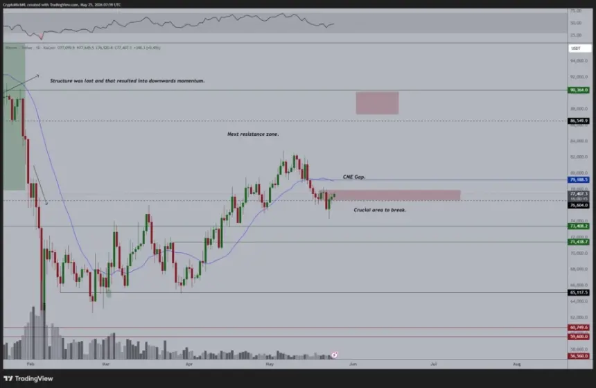 BTC one-day chart analysis by Michaël van de Poppe