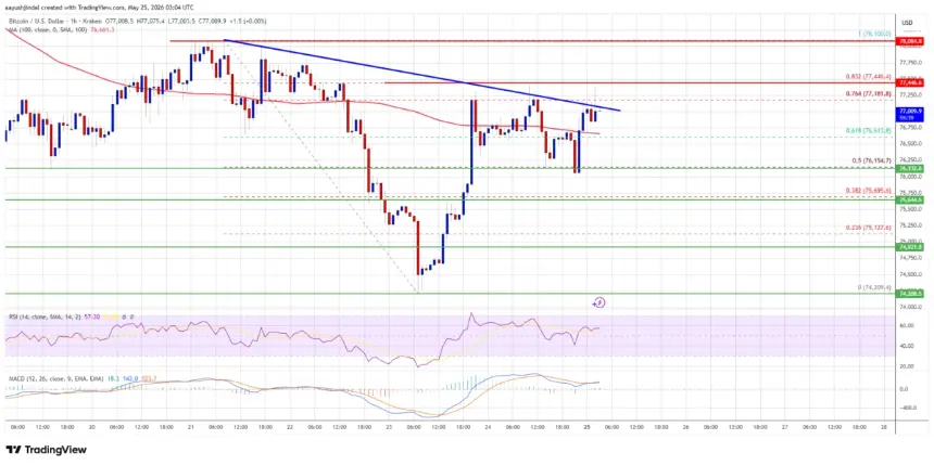 Bitcoin price chart analysis