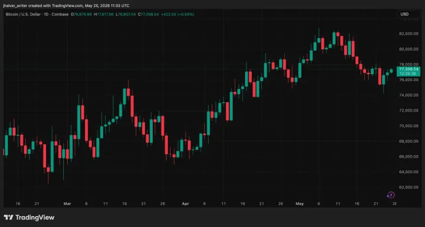 Bitcoin BTC USD Chart