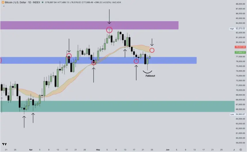 BTC one-day chart from Cryptic Trades