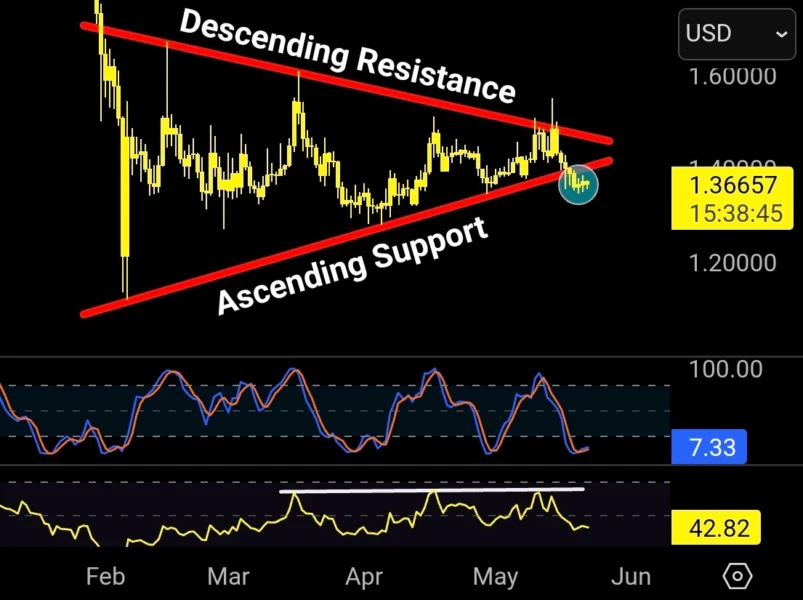 XRP daily price chart