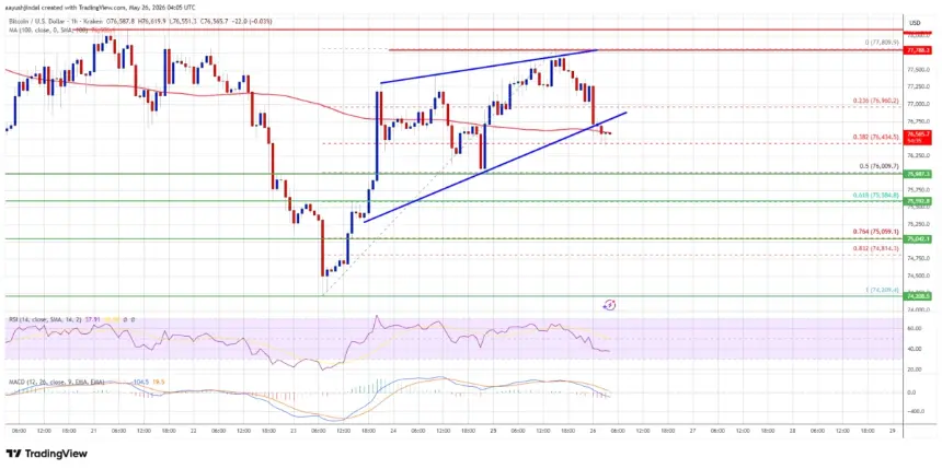 BTC/USD Hourly Price Chart