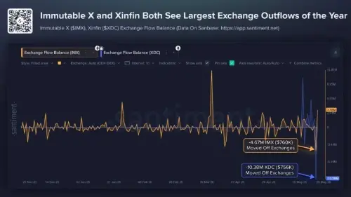 IMX和XDC信号潜在鲸鱼积累的大量交易流出