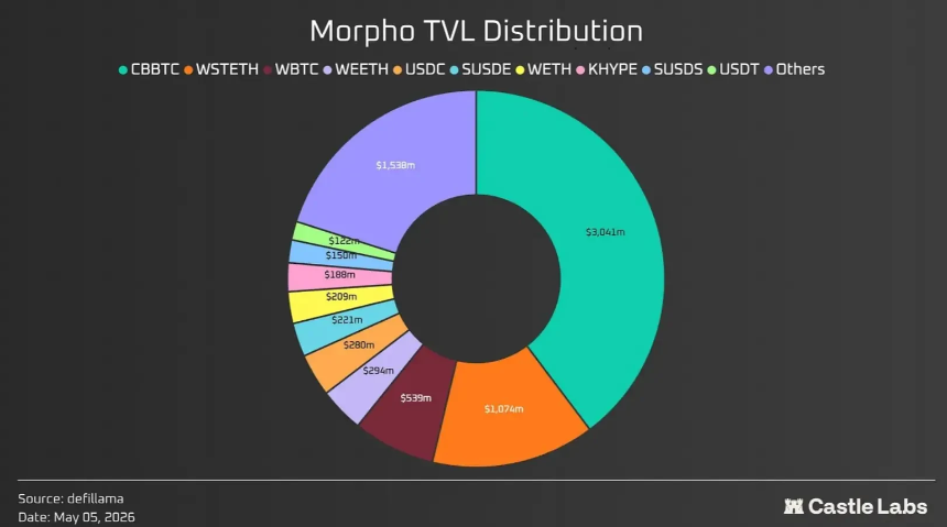 Morpho协议TVL增长图，重点展示Base链贡献