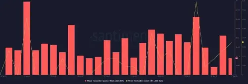 技术分析表明 IMX 可能正在为重大突破做好准备