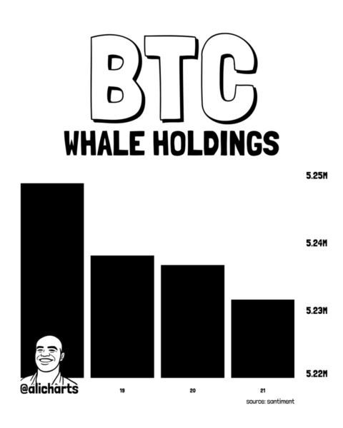 Chart showing the recent decline in holdings of Bitcoin whales