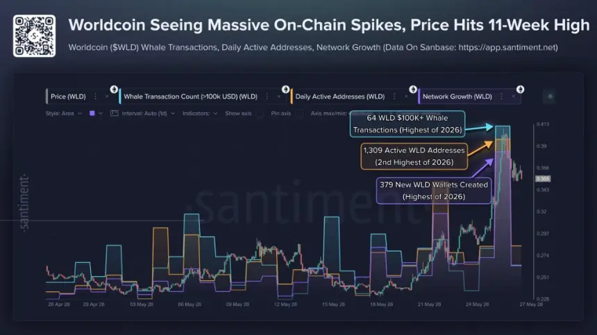 Worldcoin on-chain data