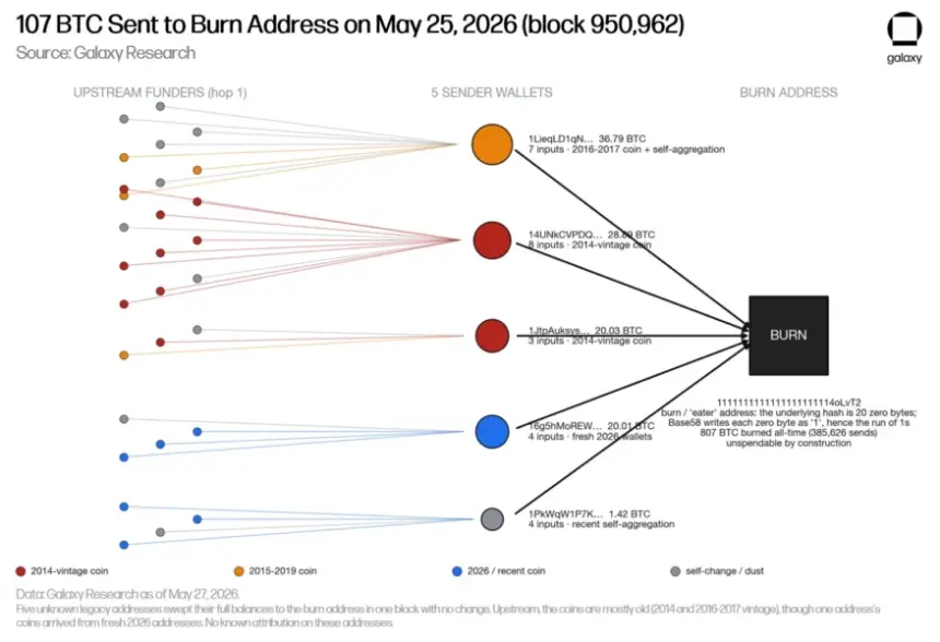 Chart or visual related to the Bitcoin burn transaction