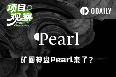 PoW新矿Pearl引爆市场:a16z疑似巨资入场,AI算力挖矿是噱头还是革新?