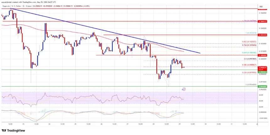 DOGE/USD Hourly Price Chart