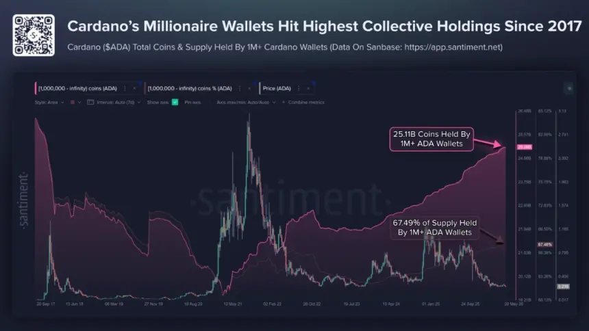 Cardano Millionaires
