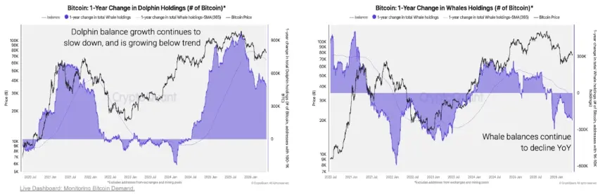cryptoquant-bitcoin-whales-dolphins