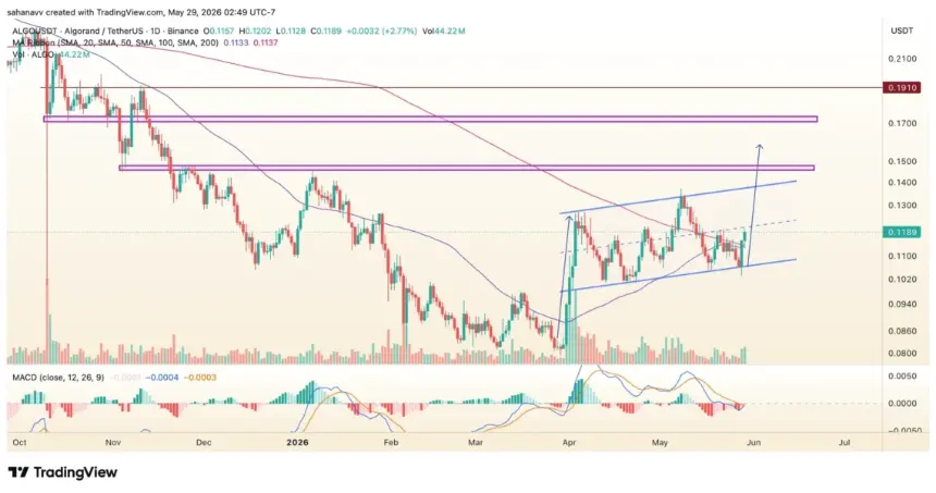 algo price