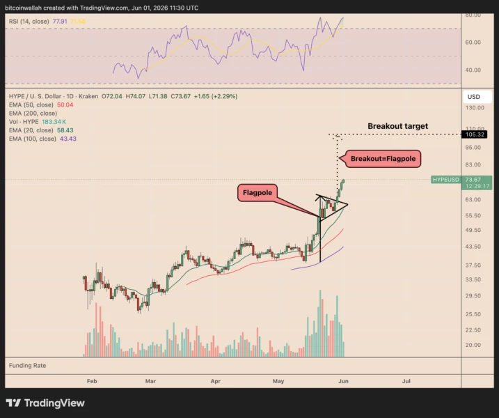 HYPEUSD daily chart highlighting bull pennant pattern