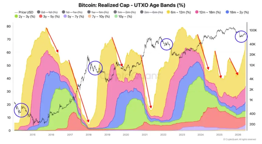 Chart showing Bitcoin UTXO age band data