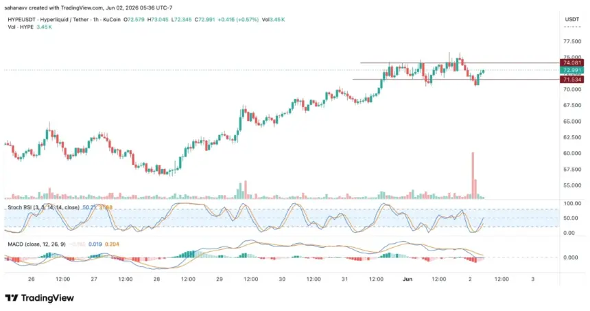 hype price chart