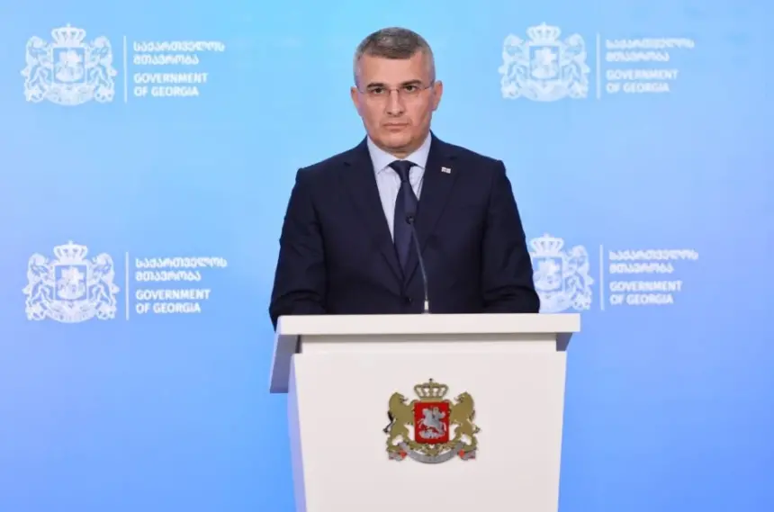 Mamuka Mdinaradze speaking at a press conference